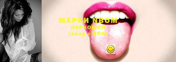 МДПВ Дмитриев