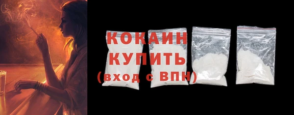 стаф Дмитровск