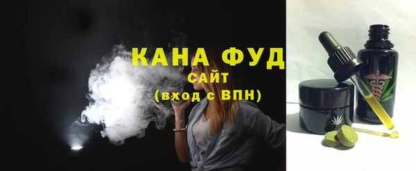 МДПВ Дмитриев