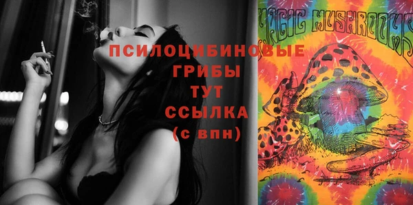 МДПВ Дмитриев