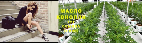 стаф Дмитровск