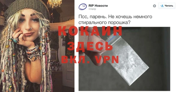 МДПВ Дмитриев