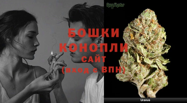 МДПВ Дмитриев