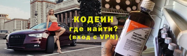МДПВ Дмитриев