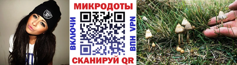 Галлюциногенные грибы GOLDEN TEACHER omg рабочий сайт Злынка